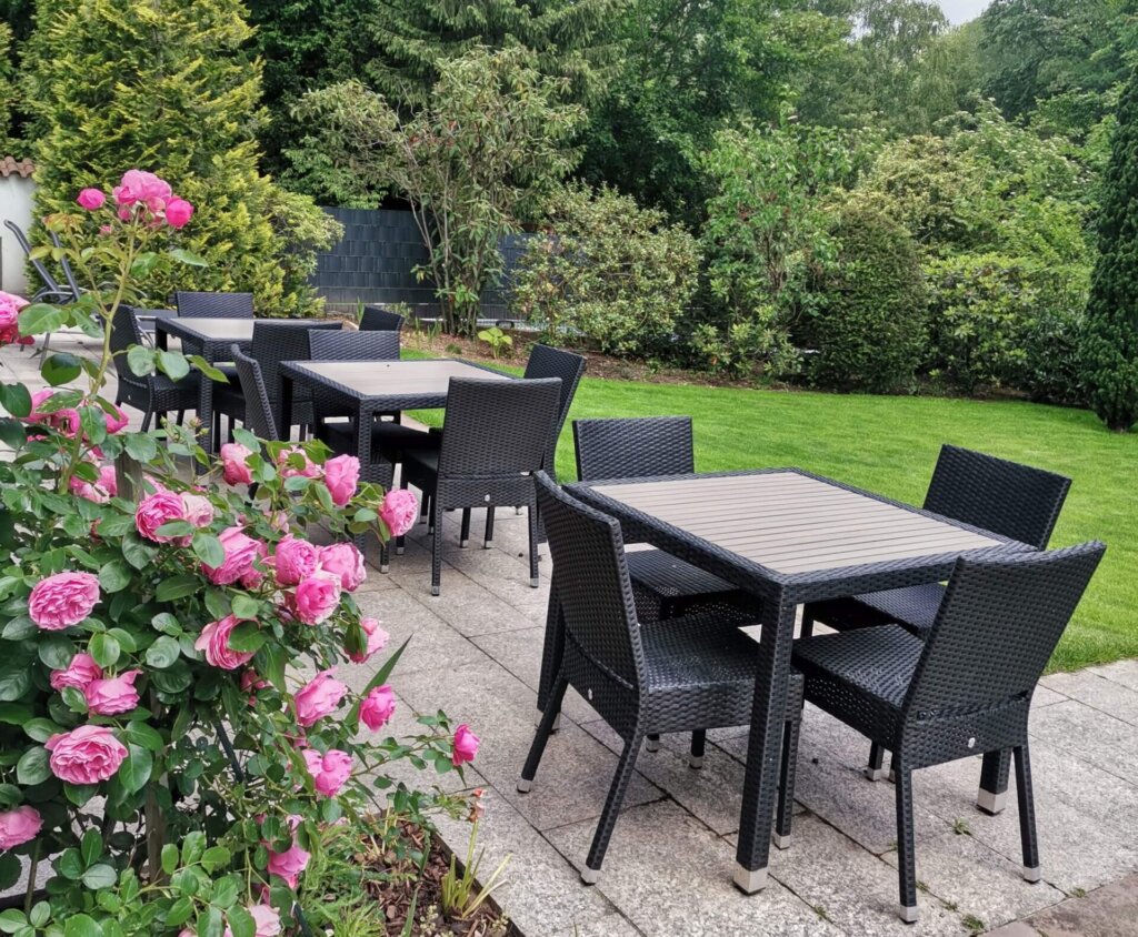 Blühende Rosen im Seminarhausgarten